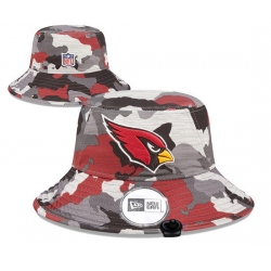 Arizona Cardinals NFL Snapback Hat 012